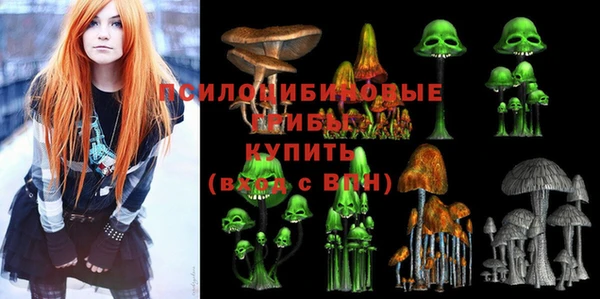 спайс Алексин