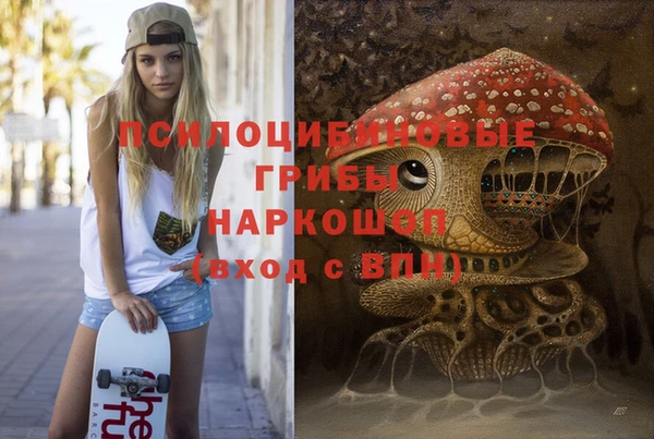 амф Алексеевка